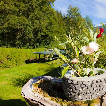 Appartement Heidi By Schladmingurlaub Ramsau am Dachstein Dış mekan fotoğraf